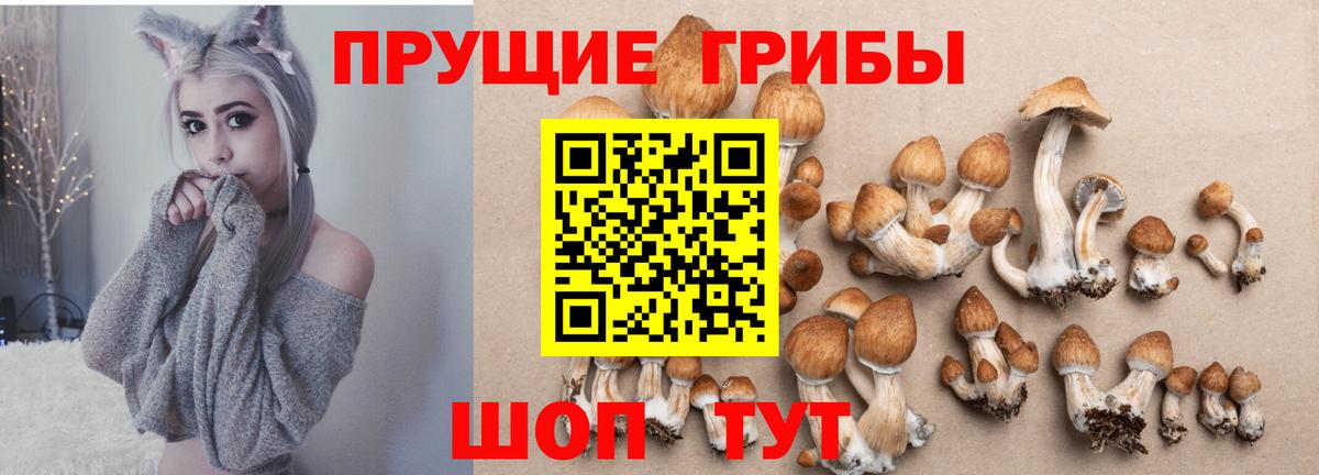 Псилоцибиновые грибы Magic Shrooms Вятские Поляны